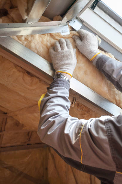 Best Commercial Insulation in Pierce City, MO